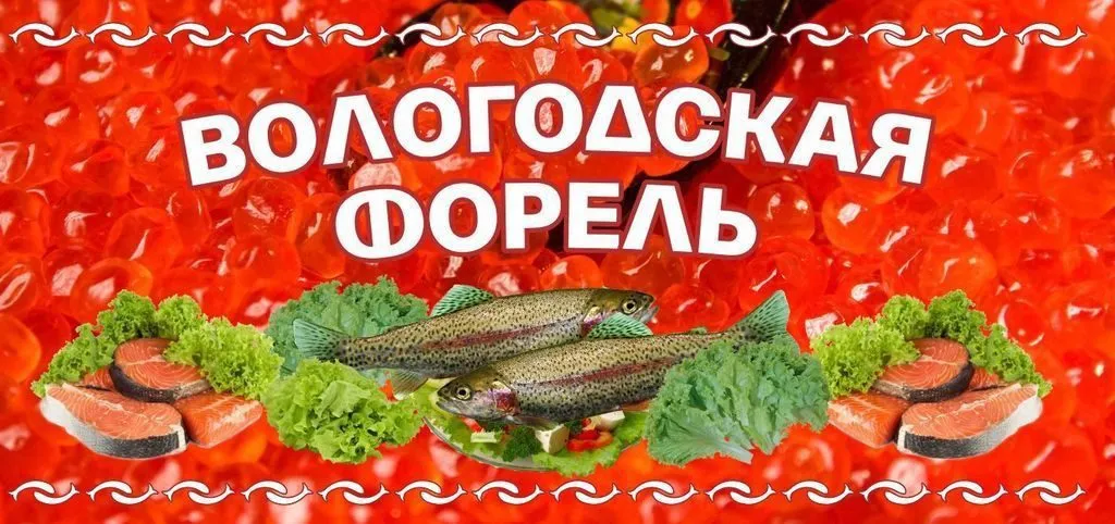 Вологодская форель череповец. Вологодская форель. Череповец Белозерская форель. Вологодская форель фото.